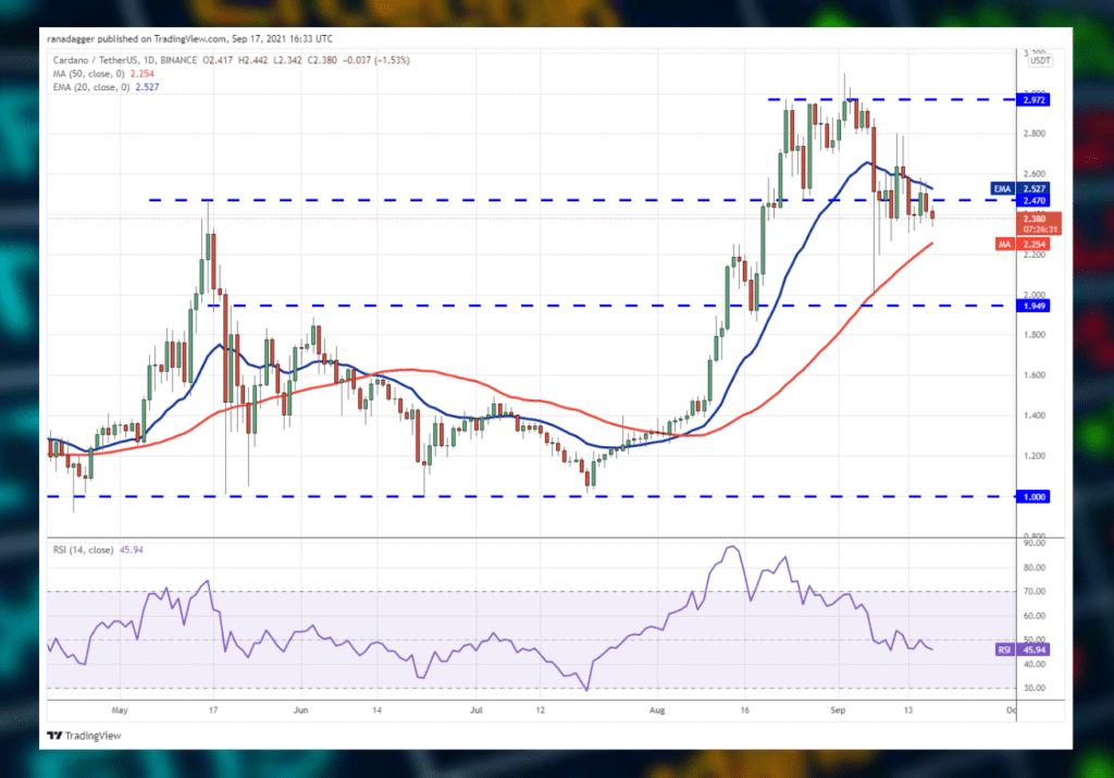 Crypto Market Analysis
