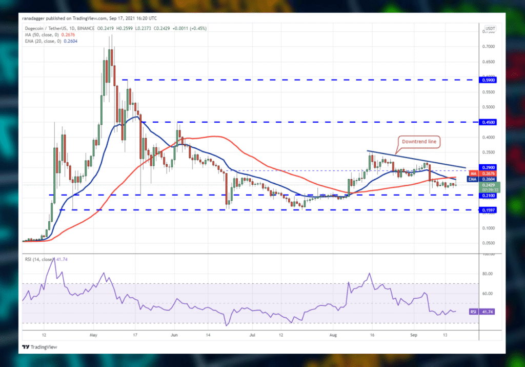 Crypto Market Analysis