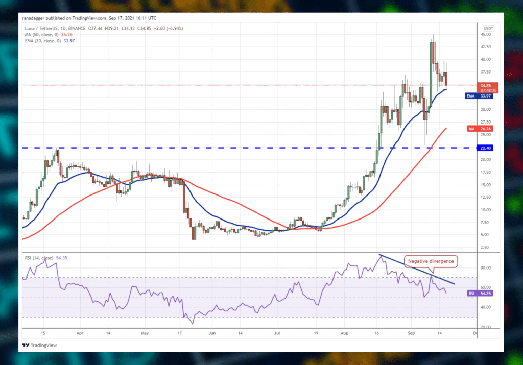 Crypto Market Analysis