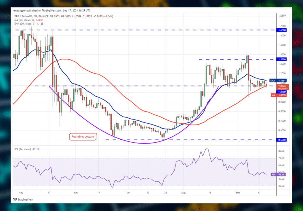 Crypto Market Analysis