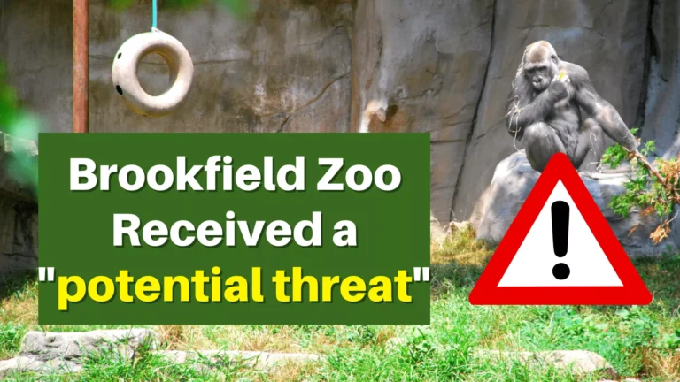 Brookfield Zoo received a potential threat
